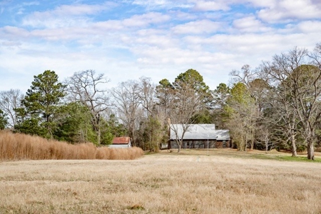 D'Arbonne 166 - image 4