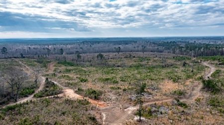 D'Arbonne 166 - image 8