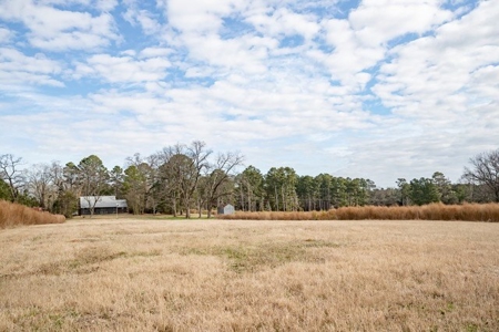 D'Arbonne 166 - image 6
