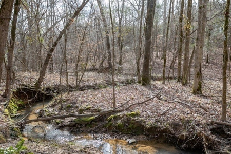 D'Arbonne 166 - image 22