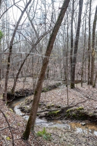 D'Arbonne 166 - image 21