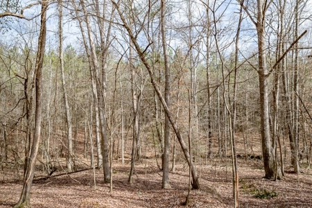D'Arbonne 166 - image 25