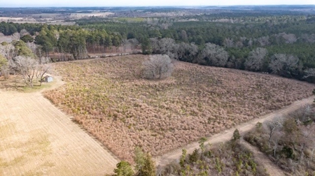 D'Arbonne 166 - image 12