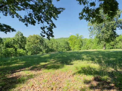 Home And Acreage For Sale In North Central Arkansas - image 9