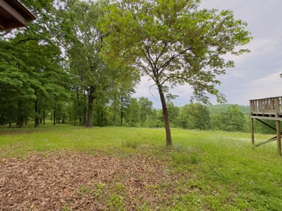 Home And Acreage For Sale In North Central Arkansas - image 26