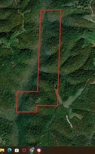 Home And Acreage For Sale In North Central Arkansas - image 34