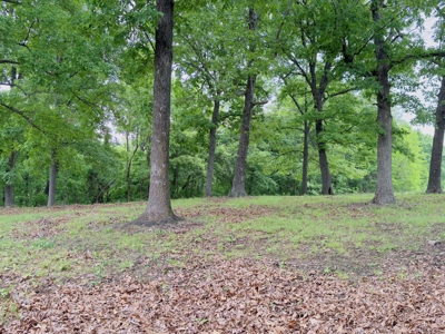 Home And Acreage For Sale In North Central Arkansas - image 30