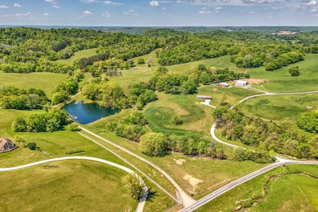 Farm for Sale in Giles County Tennessee - image 19