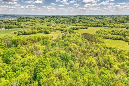 Farm for Sale in Giles County Tennessee - image 21