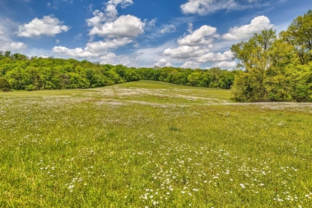Farm for Sale in Giles County Tennessee - image 14