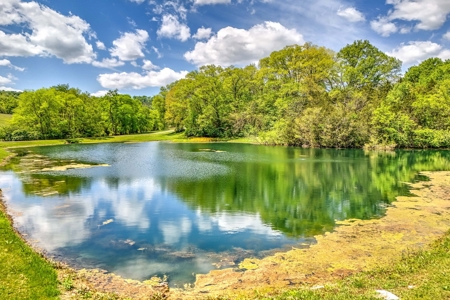 Farm for Sale in Giles County Tennessee - image 15