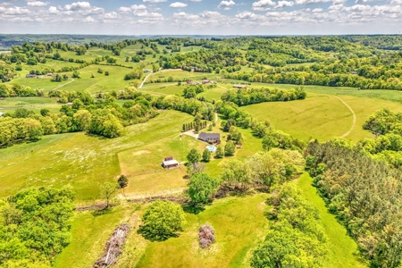Farm for Sale in Giles County Tennessee - image 20
