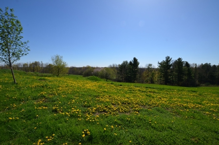 Country Home Hobby Farm on 15 Organic Acres SW Wisconsin - image 3