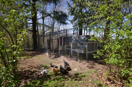 Country Home Hobby Farm on 15 Organic Acres SW Wisconsin - image 35