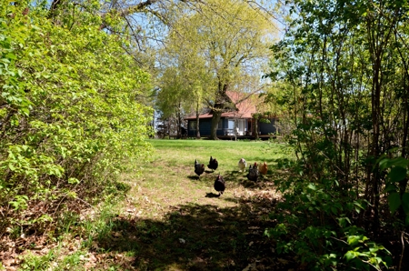 Country Home Hobby Farm on 15 Organic Acres SW Wisconsin - image 34
