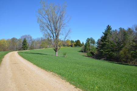 Country Home Hobby Farm on 15 Organic Acres SW Wisconsin - image 2