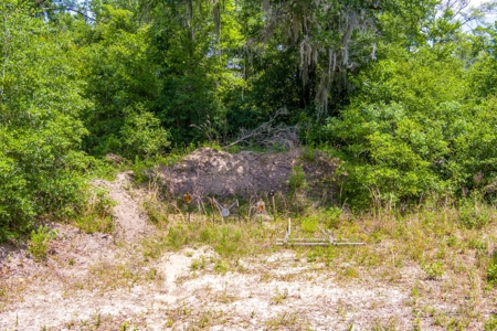Acres For Sale In Suwannee County !!! - image 17