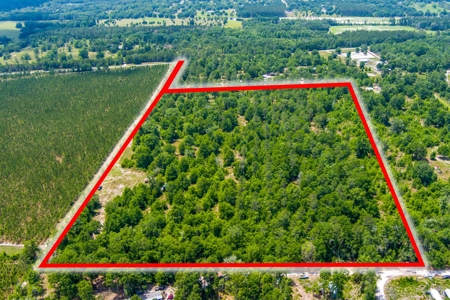 Acres For Sale In Suwannee County !!! - image 21