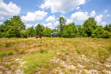 Acres For Sale In Suwannee County !!! - image 9