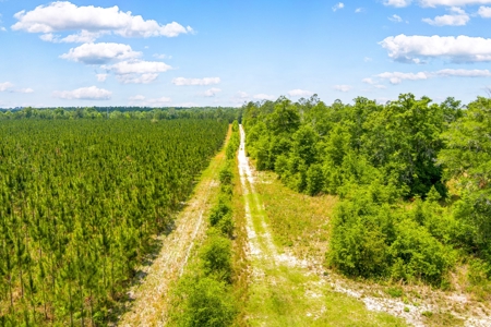 Acres For Sale In Suwannee County !!! - image 19