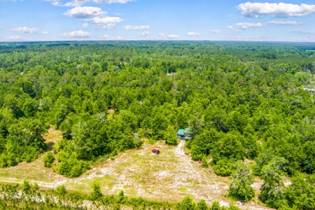 Acres For Sale In Suwannee County !!! - image 16