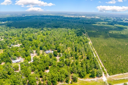 Acres For Sale In Suwannee County !!! - image 11