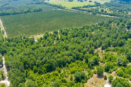 Acres For Sale In Suwannee County !!! - image 15