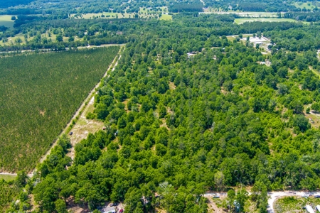 Acres For Sale In Suwannee County !!! - image 20