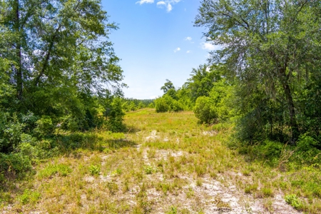 Acres For Sale In Suwannee County !!! - image 18