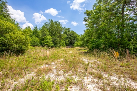 Acres For Sale In Suwannee County !!! - image 8