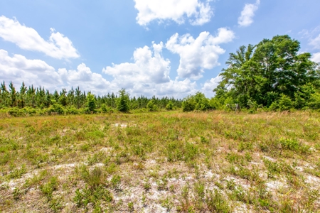 Acres For Sale In Suwannee County !!! - image 7