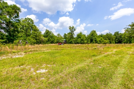 Acres For Sale In Suwannee County !!! - image 10