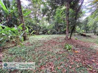 Titled Lot for Sale, Bluff Beach, Bocas del Toro - image 10