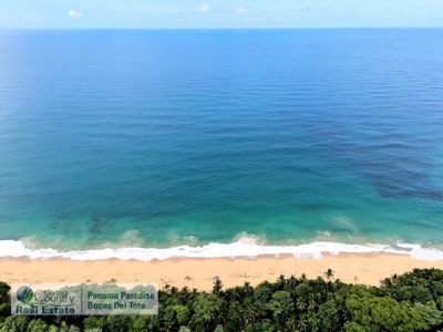 Titled Lot for Sale, Bluff Beach, Bocas del Toro - image 5
