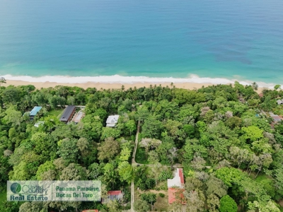 Titled Lot for Sale, Bluff Beach, Bocas del Toro - image 6
