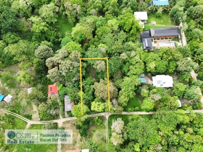 Titled Lot for Sale, Bluff Beach, Bocas del Toro - image 8