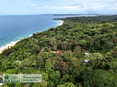 Titled Lot for Sale, Bluff Beach, Bocas del Toro - image 4