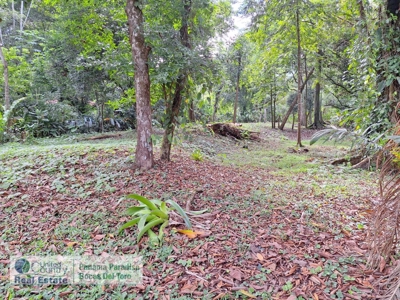 Titled Lot for Sale, Bluff Beach, Bocas del Toro - image 7