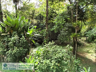 Titled Lot for Sale, Bluff Beach, Bocas del Toro - image 2