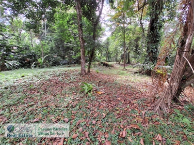 Titled Lot for Sale, Bluff Beach, Bocas del Toro - image 9