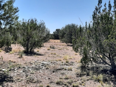 38+ acre off grid Northern AZ Property - image 8