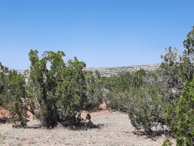 38+ acre off grid Northern AZ Property - image 1