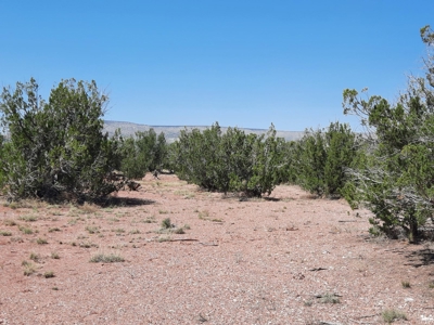 38+ acre off grid Northern AZ Property - image 15