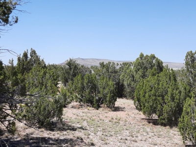 38+ acre off grid Northern AZ Property - image 7