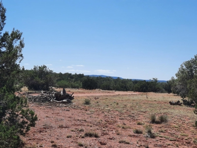 38+ acre off grid Northern AZ Property - image 2