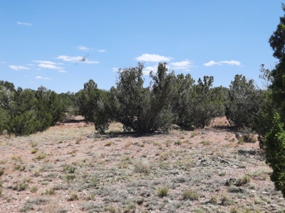 38+ acre off grid Northern AZ Property - image 4