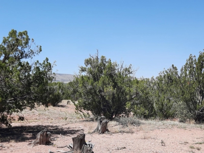 38+ acre off grid Northern AZ Property - image 10