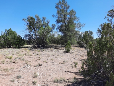 38+ acre off grid Northern AZ Property - image 13