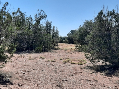 38+ acre off grid Northern AZ Property - image 12