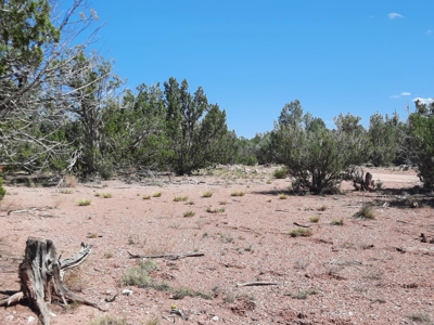 38+ acre off grid Northern AZ Property - image 3